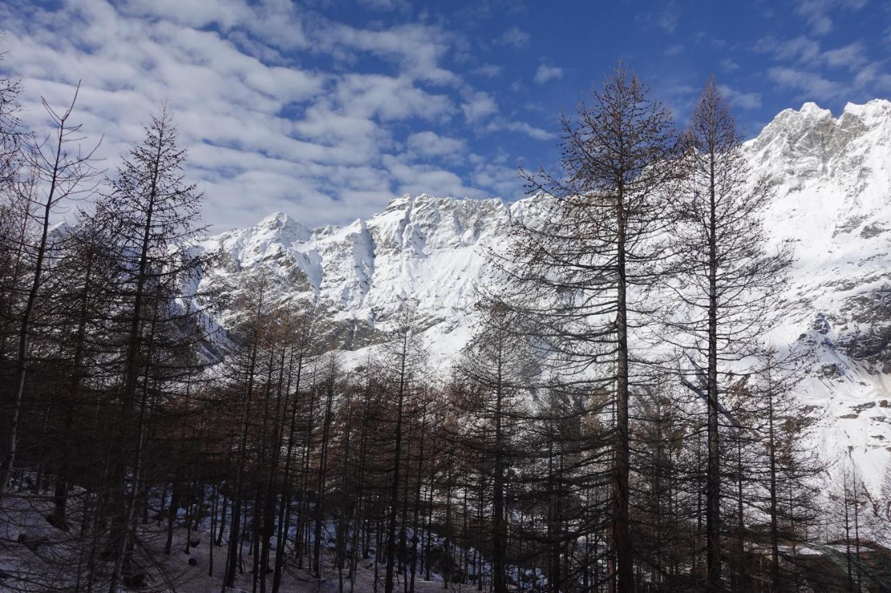 Erikzang - Cervinia Ski In Ski Out Apartments Breuil-Cervinia Ngoại thất bức ảnh