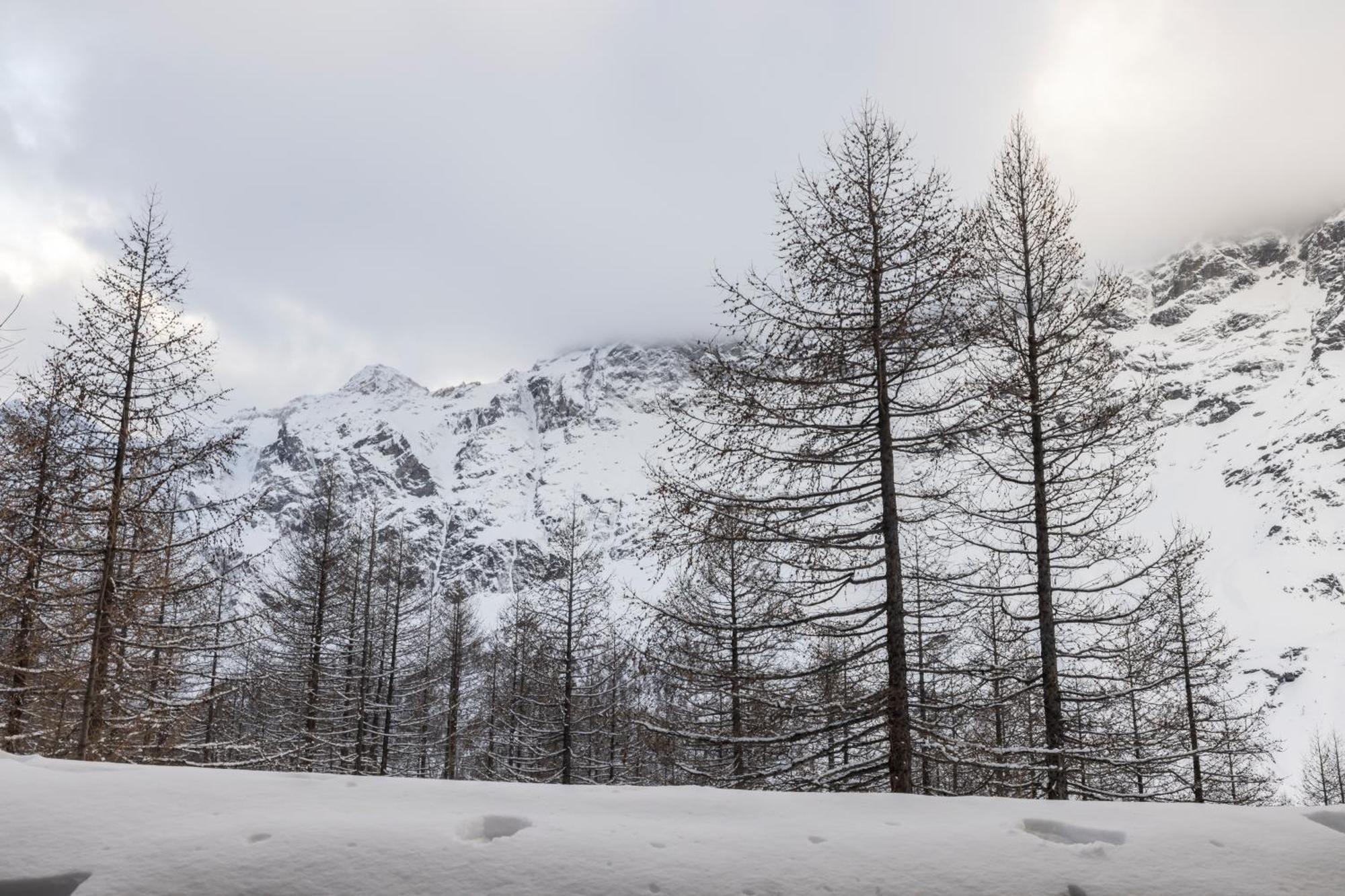 Erikzang - Cervinia Ski In Ski Out Apartments Breuil-Cervinia Ngoại thất bức ảnh
